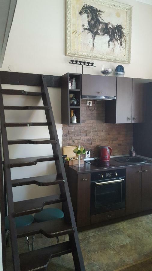 Old Wine House Apartment Клайпеда Екстериор снимка